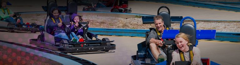 Go Karts Adult Kids Birthday Party Ideas
